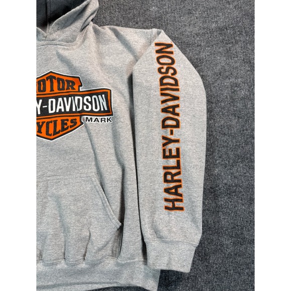 Harley Davidson Hoodie Mens Medium Gray Sleeve Hits Motor Cycles Pullover Logo - Picture 2 of 12